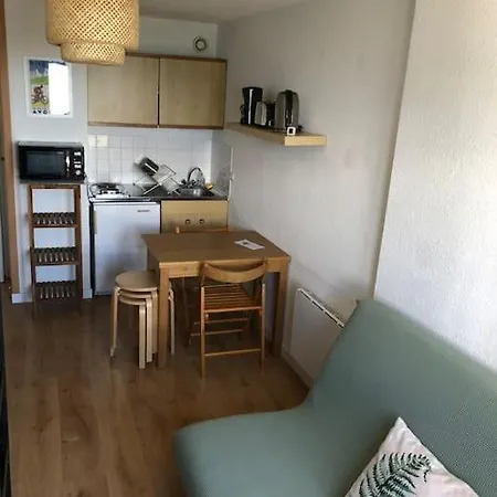 Apartment Cosy A Prapoutel, Les 7 Laux, Alpes *
